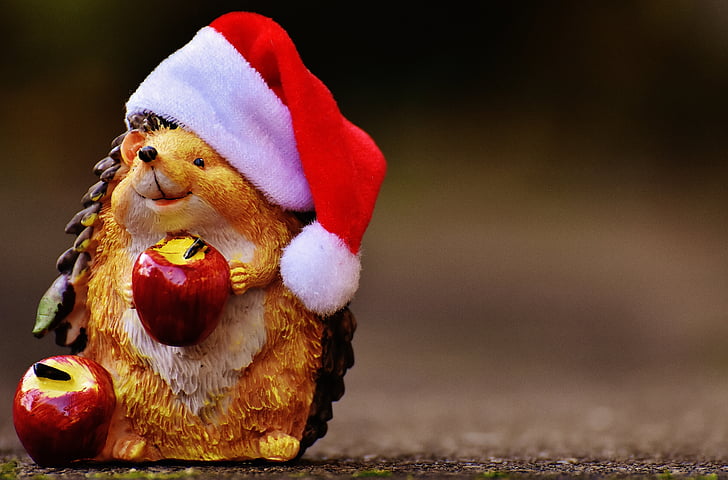 Ежик, Рисунок, Рождество, колпак Санта-Клауса, украшения, смешно, животное