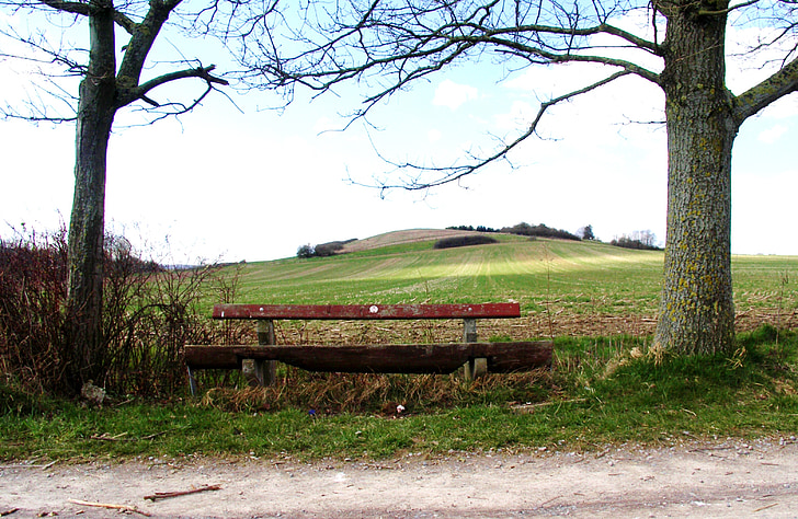 bank, wooden bench, bench, nature, out, click, seat