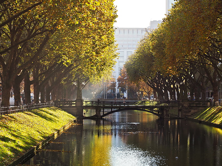 autunno, acqua, k-scavi, Düsseldorf, storicamente, riflessione dell'acqua, autunno dorato