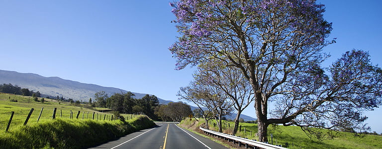 paisagem, estrada, campo verde, céu azul, Serra, natureza, cena rural