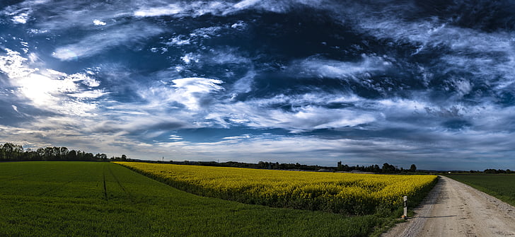 panorama, field of rapeseeds, clouds, sky, landscape, oilseed rape, nature