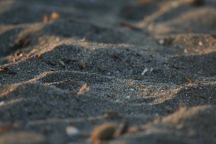 Sand, makro, Dune, stranden, bakgrunder
