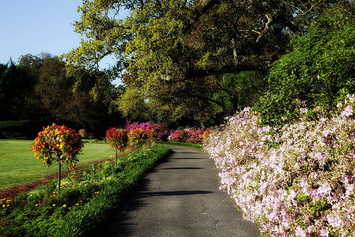 jardins bellingrath, Alabama, punt de referència, Destinacions, flors, plantes, camí