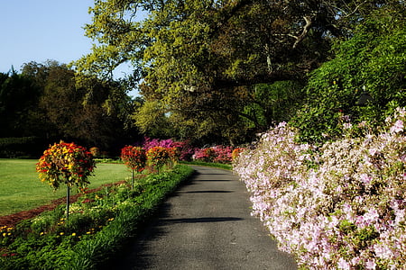 bellingrath sodai, Alabama, orientyras, paskirties vietos, gėlės, augalai, kelias