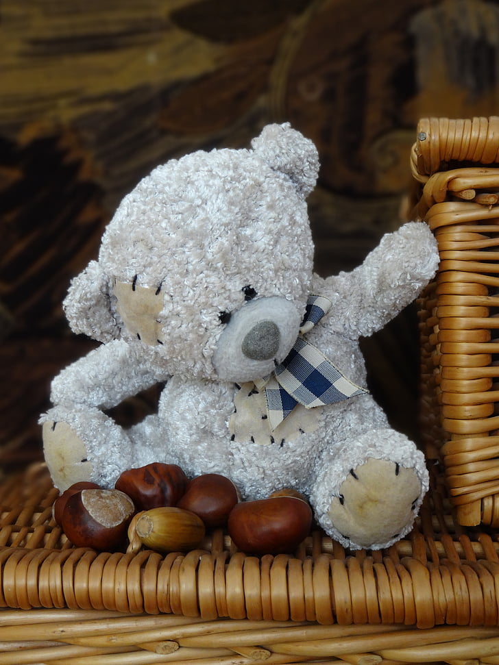 the mascot, plush mascot, fun, przytulanaka, teddy Bear, wood - Material, basket