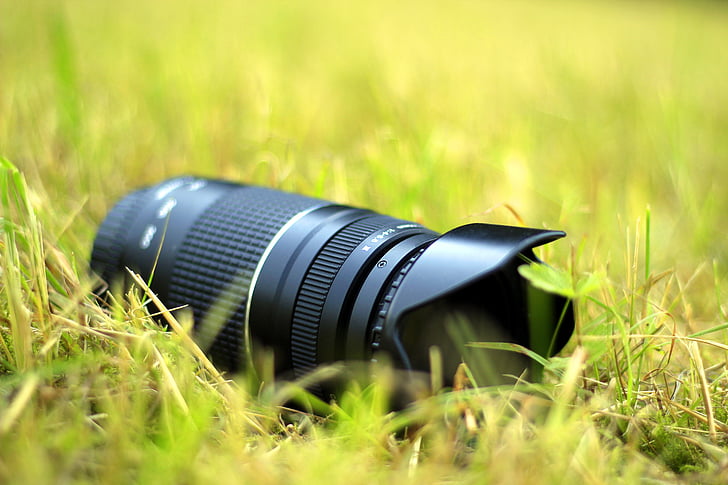 fotógrafo, naturaleza, Fotografía, cámara, lente, flora y fauna, lente teleobjetivo