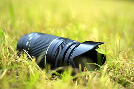 fotografo, natura, fotografia, fotocamera, lente, fauna selvatica, teleobiettivo