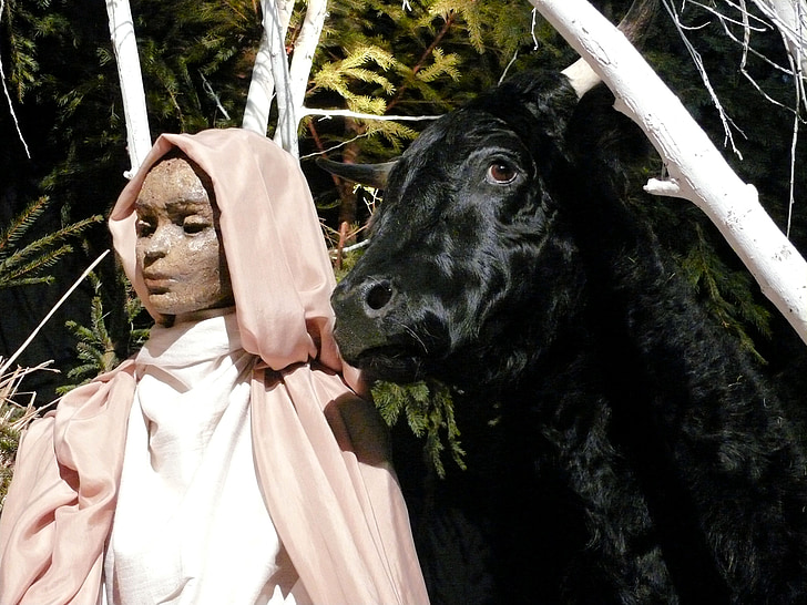Maria con buey, s Hertogenbosch, escena de la Natividad