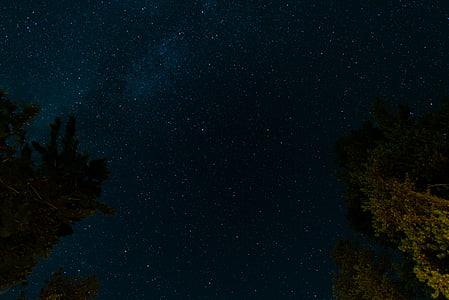 tamsus, naktį, dangus, žvaigždės, medžiai, Astronomija, žvaigždė - vietos
