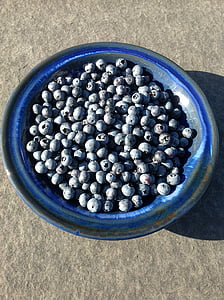borůvky, modré bobule, měřítko, léto, ovoce, jídlo, Borůvka