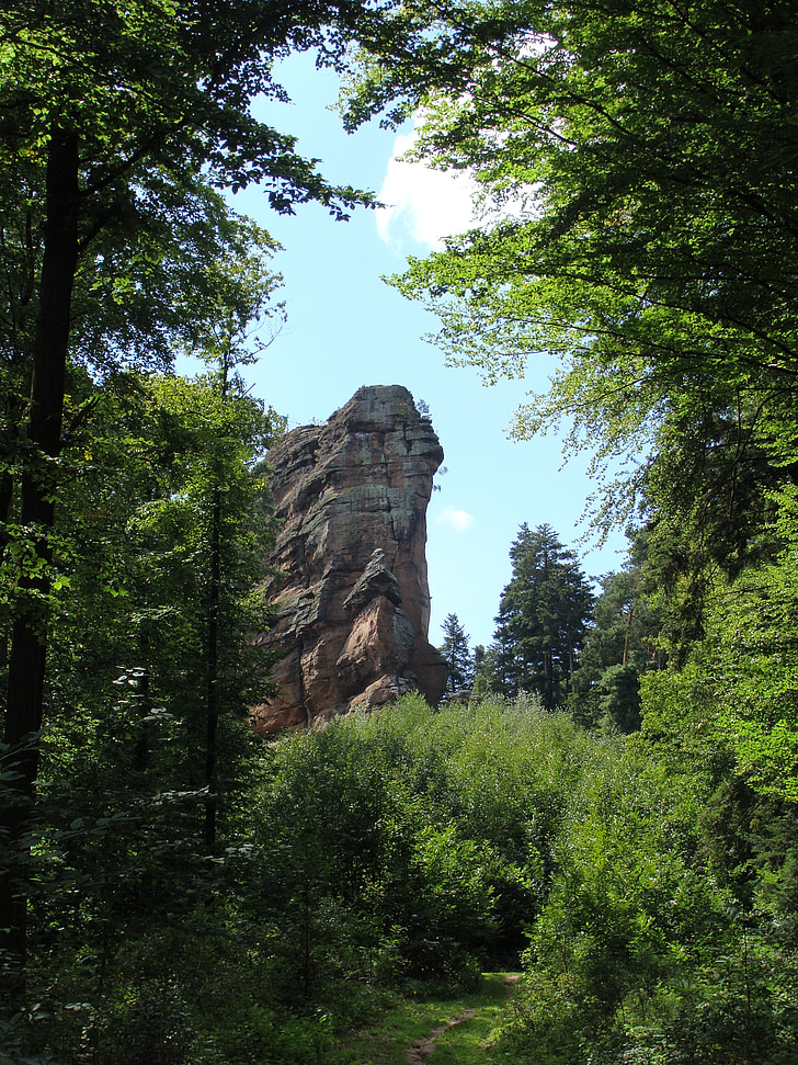 asselstein, Pfalz, pfälzerwald, klints, kāpšana, vertikālā, Extreme