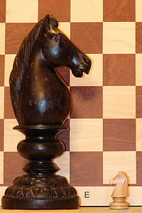 Springer, Schach, Schachfigur, Pferd, Rössl, Schachbrett, spielen