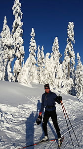 esquí de fondo, nieve, campo a través, esquí de fondo, actividad, sendero, invierno
