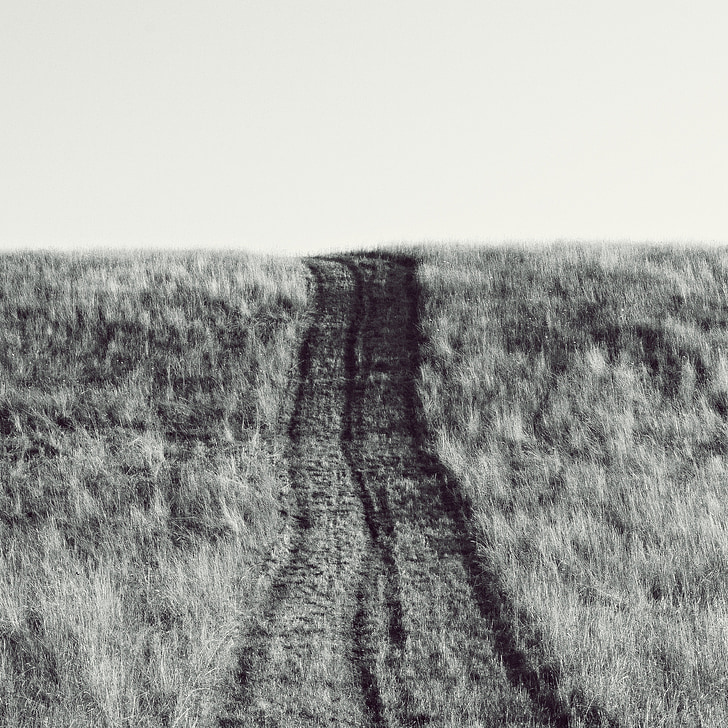 path, meadow, horizon