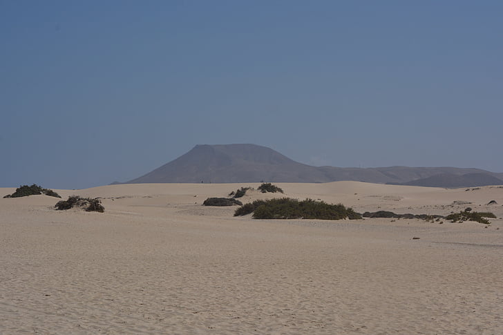 砂漠, 砂, 自然, 風景, フェルテベントゥラ島, 休日, 旅行