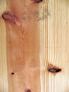 bois, bocaux, claire, tronc de pots, arbre, texture, l’arrière-plan