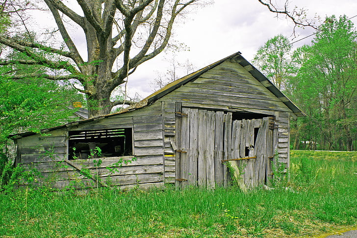 shed, old, rural, wooden, shack, plank