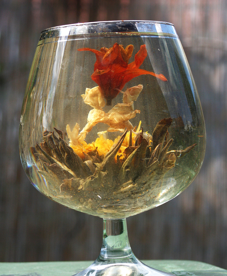 flor de chá, vidro, Ásia, t, decoração, vermelho, amarelo