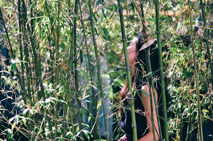 mulher, bambu, menina, Senhora, pessoas, lado, modo de exibição