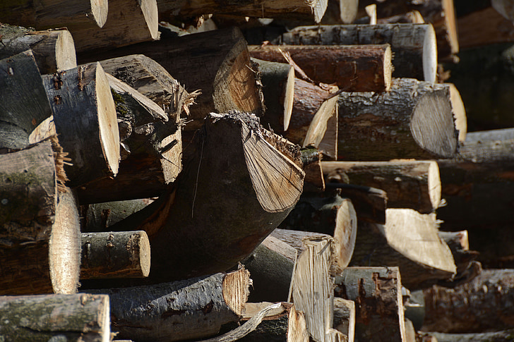 Holzstapel, tronchi d'albero, legno, come, ceppi, struttura, impilati
