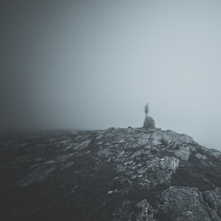 solo, en blanco y negro, niebla, paisaje, niebla, montaña, naturaleza