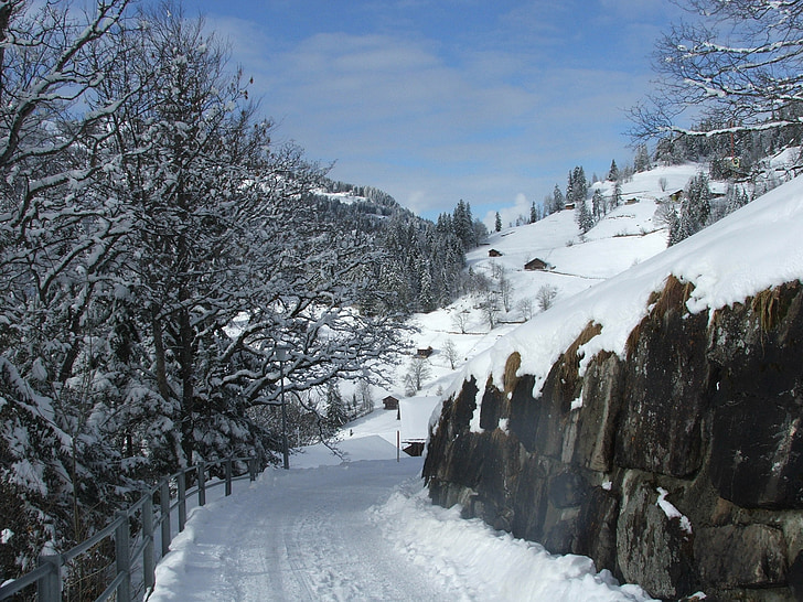 Wengen, yol, Alpler, İsviçre, Kış