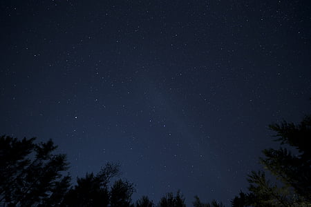 zaļa, koki, zila, debesis, naktī, laiks, zvaigznes