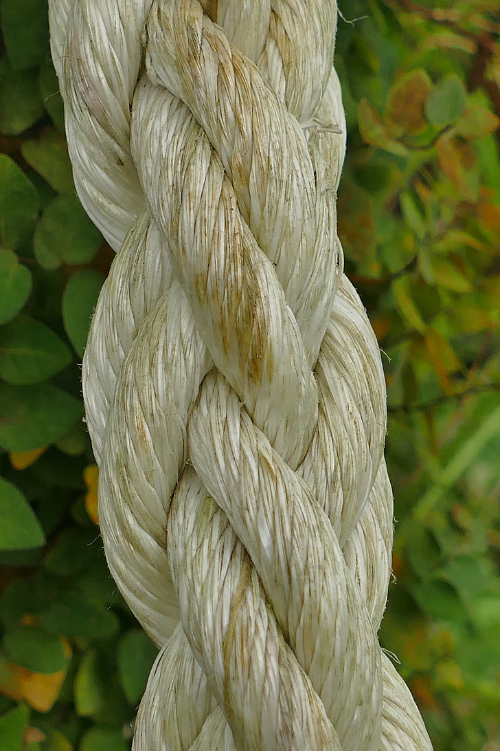 rope, macro, close, dew, fiber, weave, strength