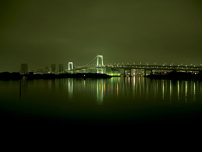 night view, bridge, light, night, light up, city, sea