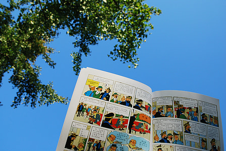 les aventures de Tintín, dibuixos animats, cel blau, sol, llegir, plaer