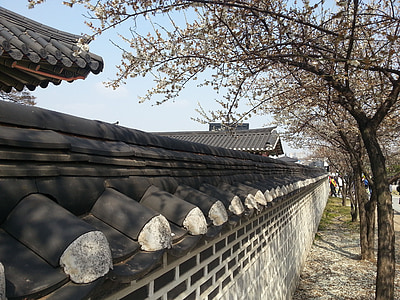 Republiek korea, vliegen blad, baksteen