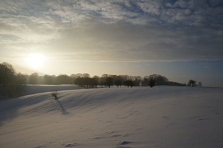 vinter, snö, kalla, landskap, vit, Frost, Danmark