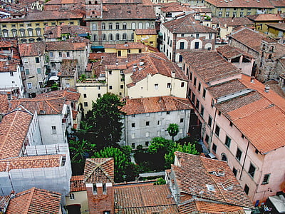 italy, travel, coach, excursion, building, architecture, buildings