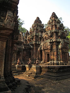 Cambodja, Wu in angkor wat, steen gesneden