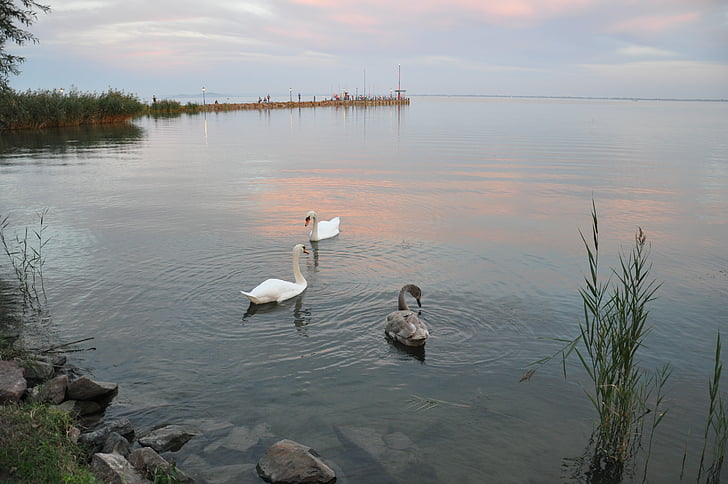 στάθμη του νερού, Λίμνη Μπάλατον, το φθινόπωρο