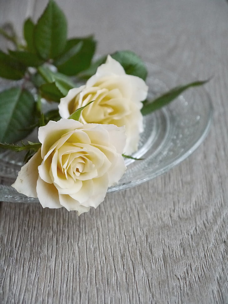 рози, букет от рози, букет, бяло, жълто, Изглед отгоре, романтичен