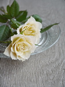róże, bukiet róż, bukiet, biały, żółty, Widok z góry, romantyczny