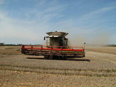 フィールド, 収穫, 粒, 農業, 作物, 機械, 車両