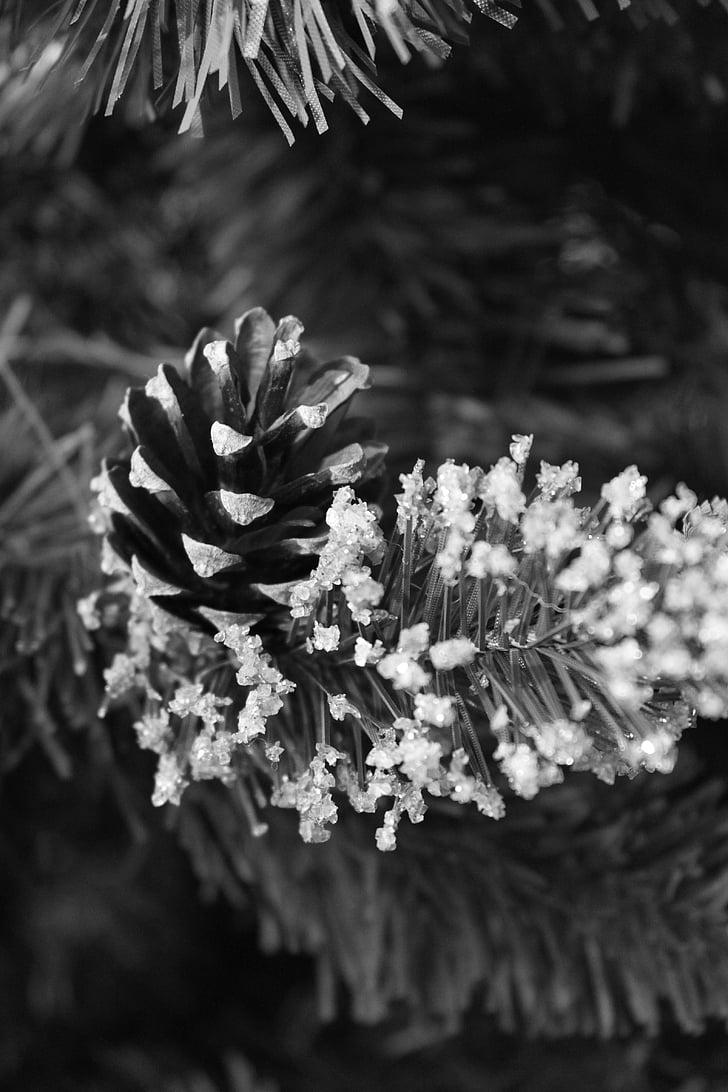 sapling, cone, christmas, ornament