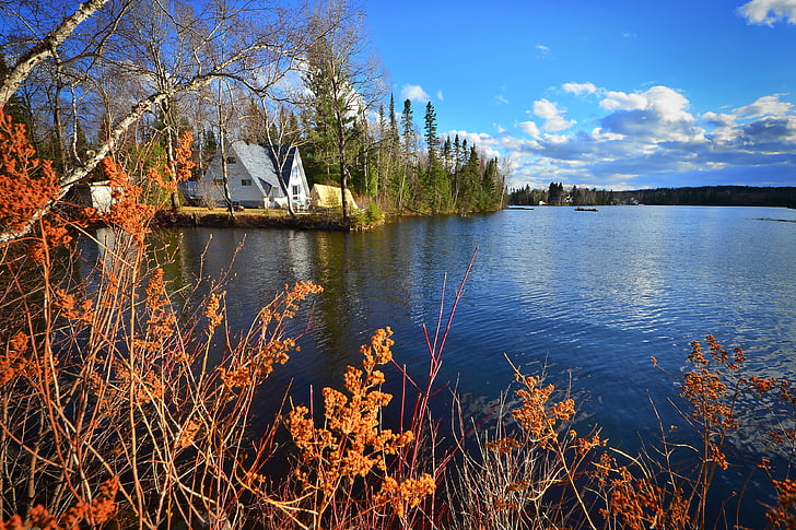 landschap, natuur, bomen, Lake, water, huis, Québec