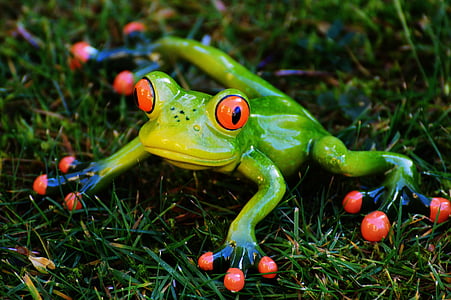 青蛙, 草甸, 图, 动物, 绿色, 可爱, 甜