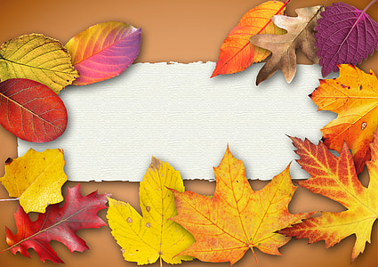 autumn, banner, poster, text box, invitation, map, handmade paper