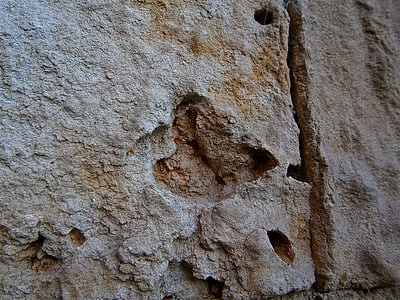 tekstur, sten, væg, sandsten, erosion, abstrakt, figurative