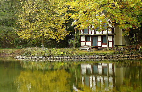 sjön, Fachwerkhaus, Haus am se, dammen, naturen, resten, vatten