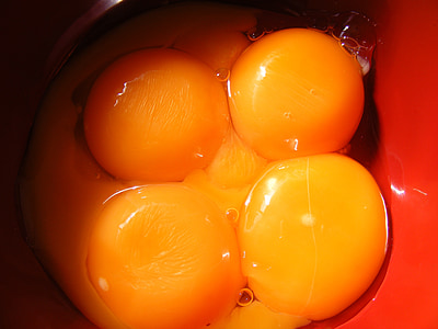 rusak, telur, telur, dalam, oosit, kuning, kuning