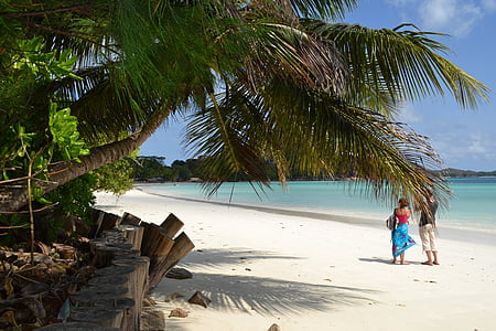 Praslin, ön, Seychellerna, Tropical, resor, Ocean, stranden