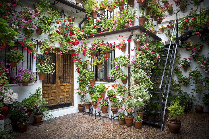 Tencere, veranda, Endülüs veranda, Saksılı bitki, İspanya, doğa, yaprakları
