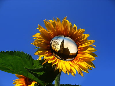 sun flower, yellow, flower, sky, church, house of prayer, faith