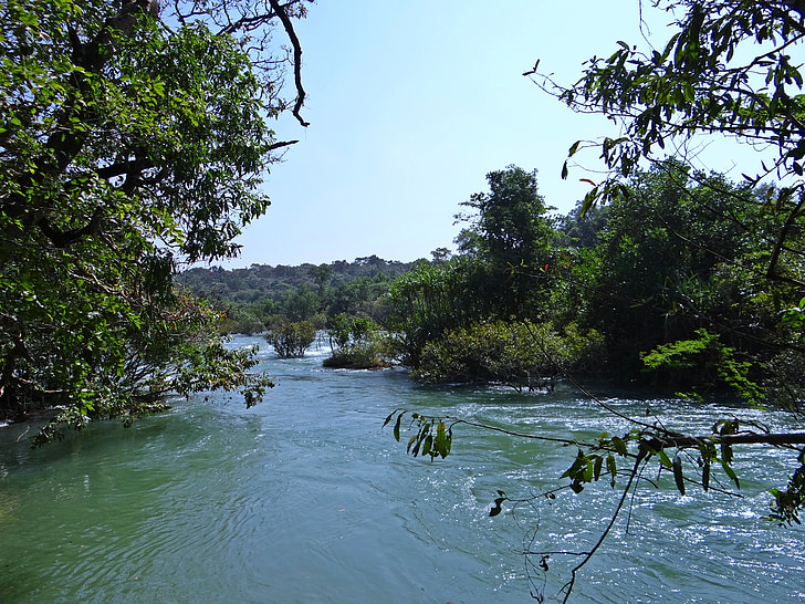 floden, Kali, vatten, flöde, vacker natur, västra ghats, Dandeli
