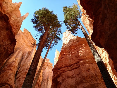 nationalparken, Bryce canyon, USA, Rock - objekt, klippformation, naturen, geologi